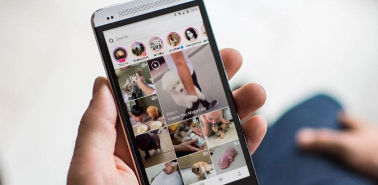 sugestões de pesquisa no instagram