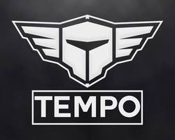 tempo gaming - tempo fortnite