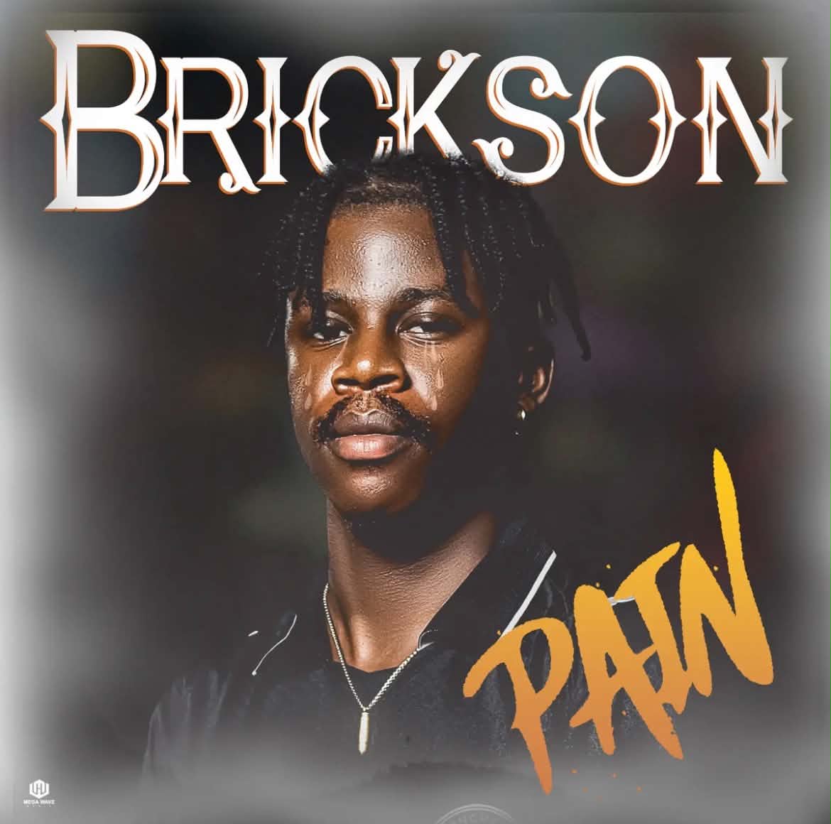 PAIN - Brickson