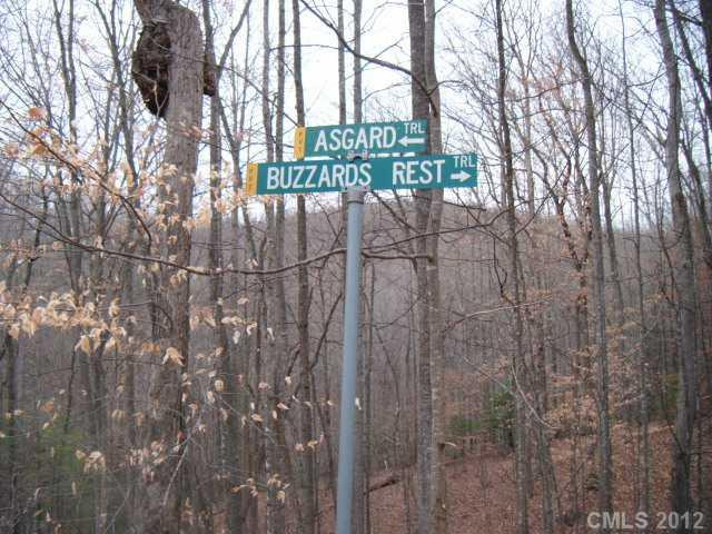 477 Asgard Trail - Photo 13