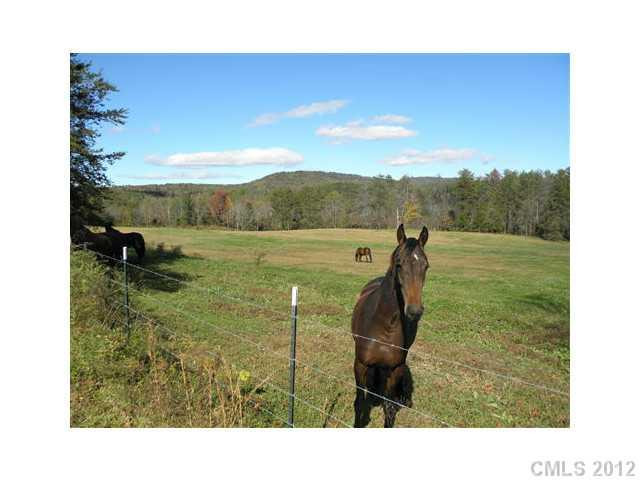 5736 Mineral Springs Mountain Road - Photo 2