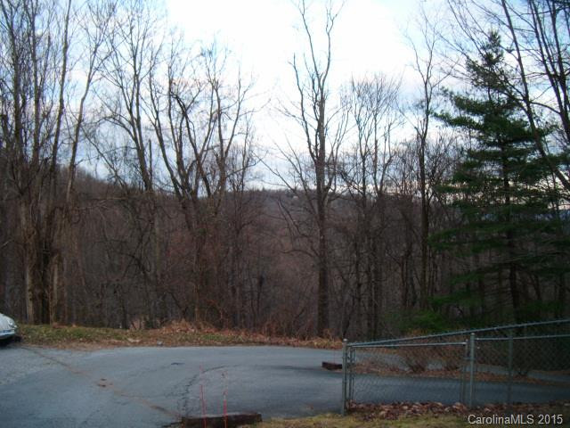 117 Indian Bluff Trail - Photo 3