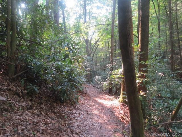 1380 Glen Cannon Drive - Photo 24