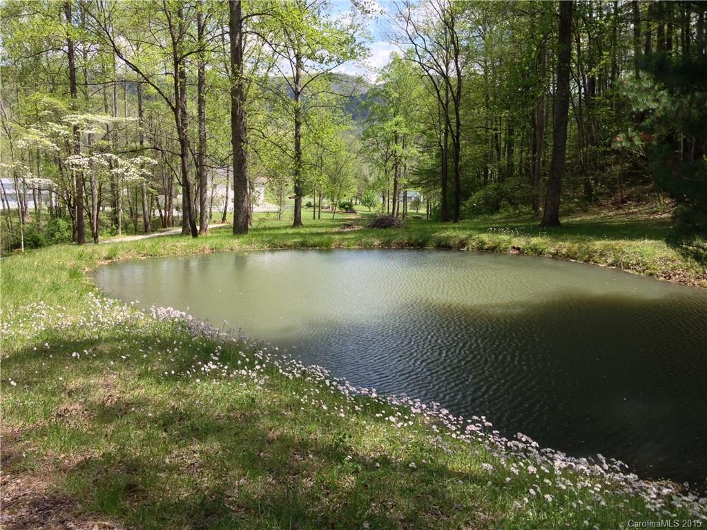 14905 US 221 - Photo 16