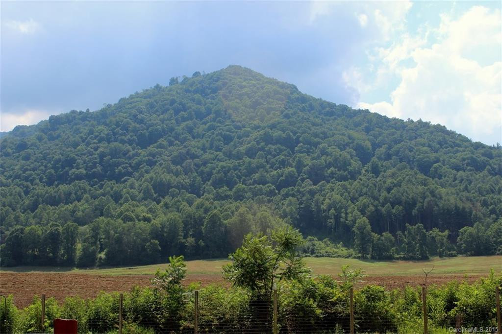 13299 NC 209 Highway - Photo 14