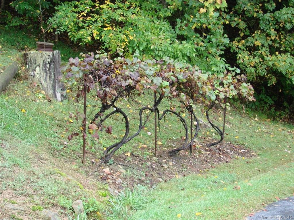 630 & 632 Banjo Branch Road - Photo 24