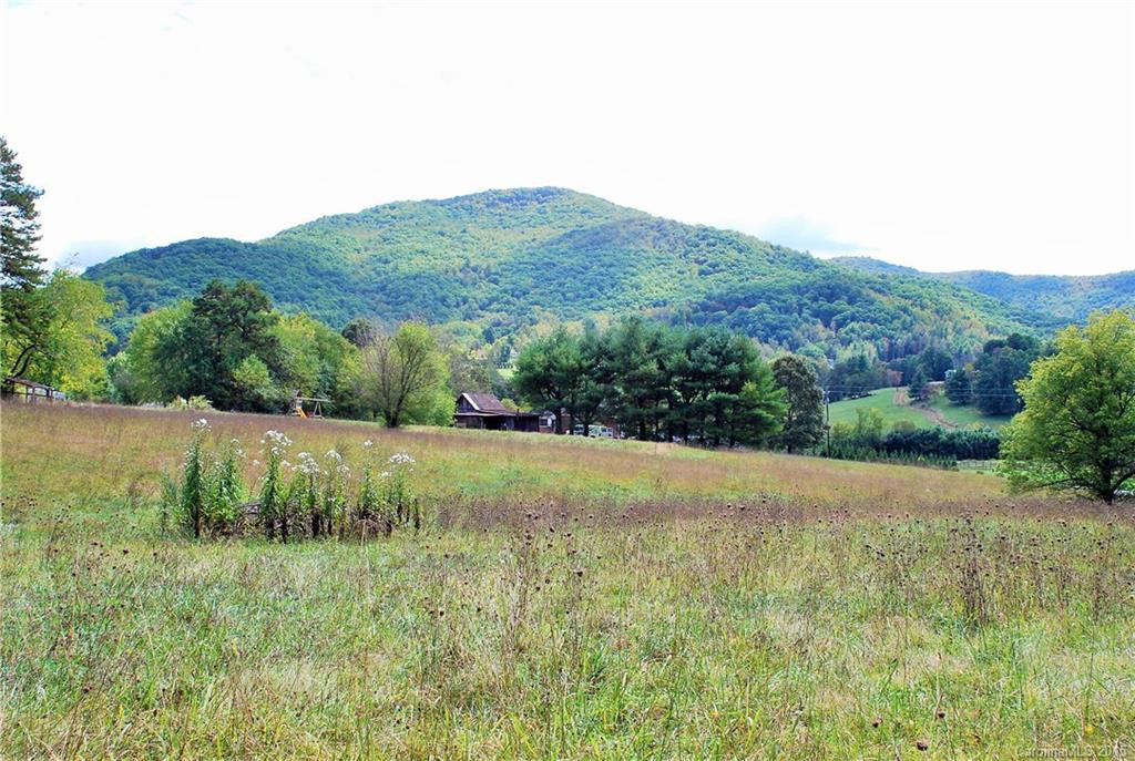 443 Hoopers Creek Road - Photo 6