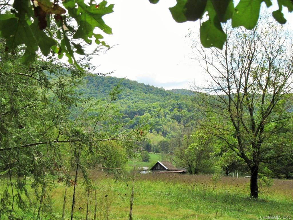 443 Hoopers Creek Road - Photo 8