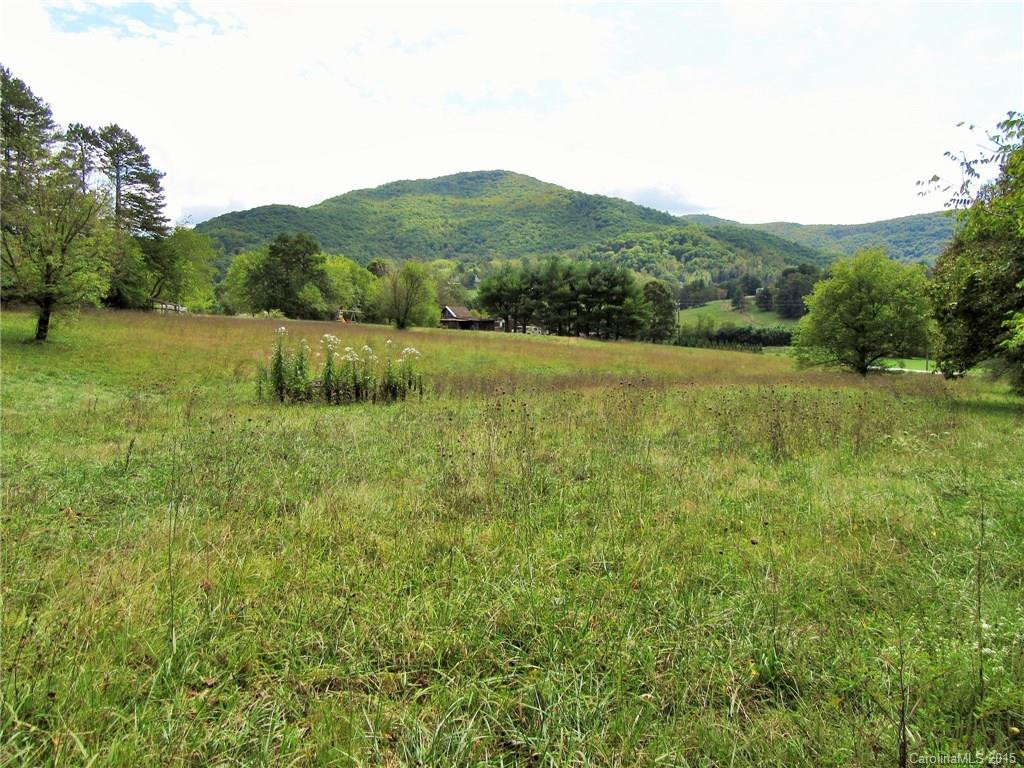 443 Hoopers Creek Road - Photo 9