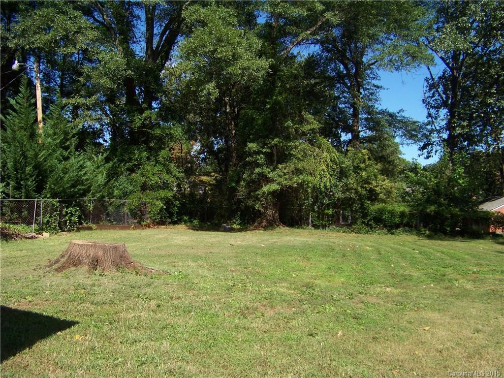 345 Old Caroleen Road - Photo 14