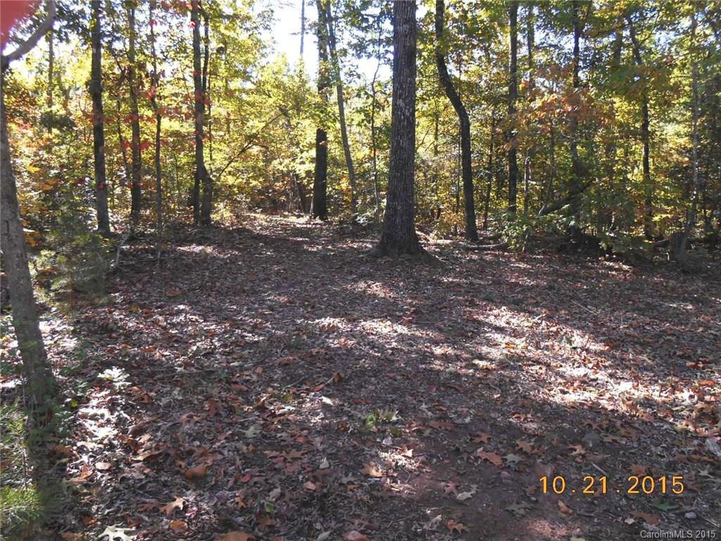 910 John Smith Road - Photo 18