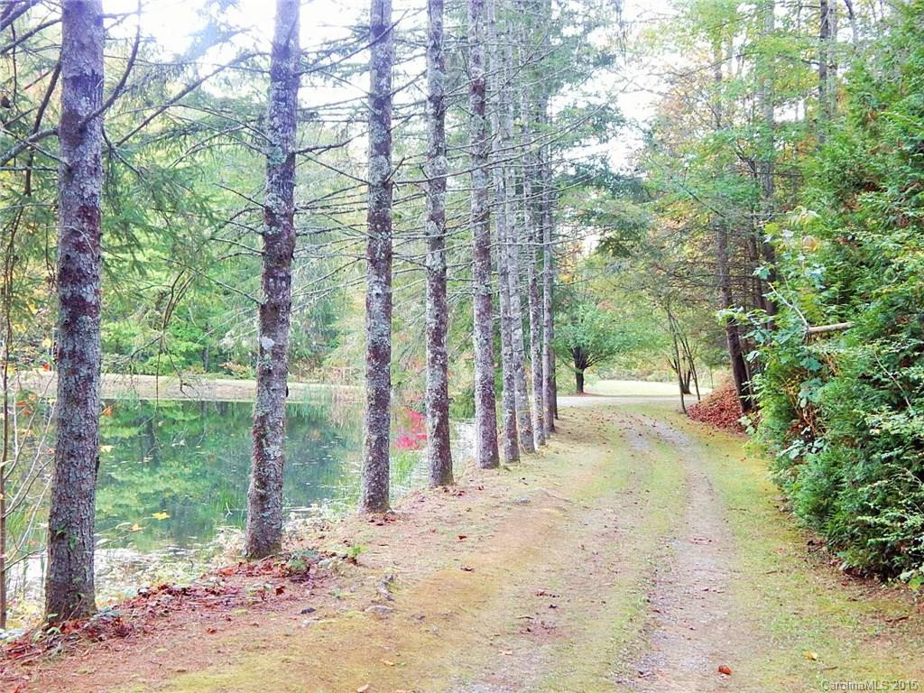 1555 Frozen Creek Road - Photo 15