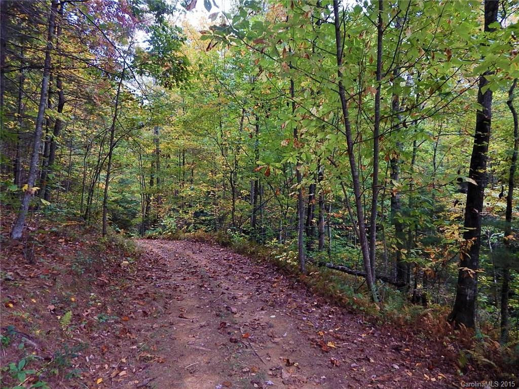 1555 Frozen Creek Road - Photo 19