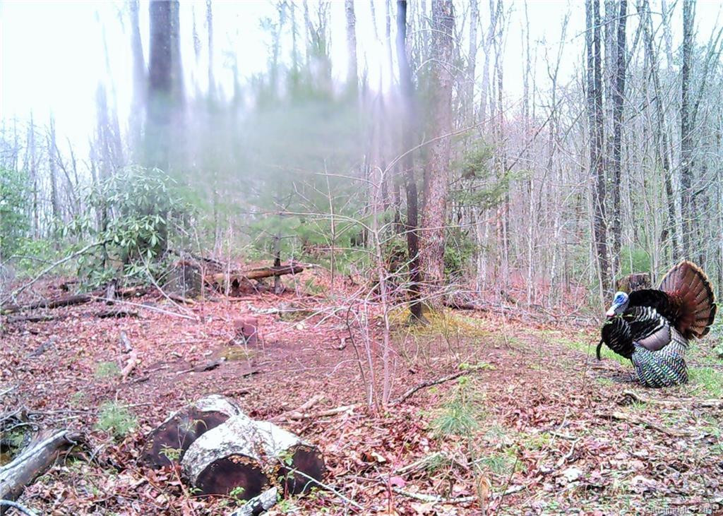 1555 Frozen Creek Road - Photo 20