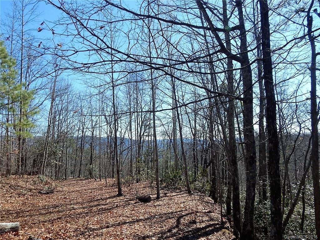 1555 Frozen Creek Road - Photo 23