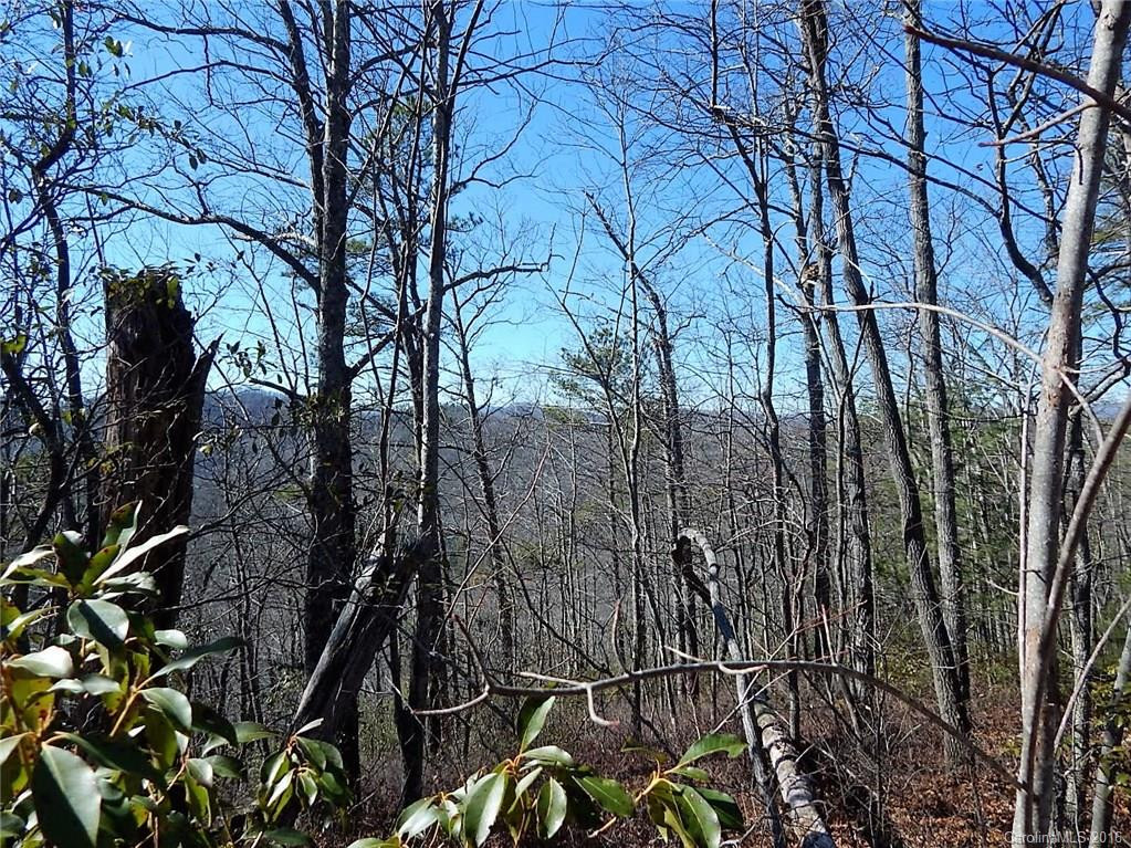 1555 Frozen Creek Road - Photo 24