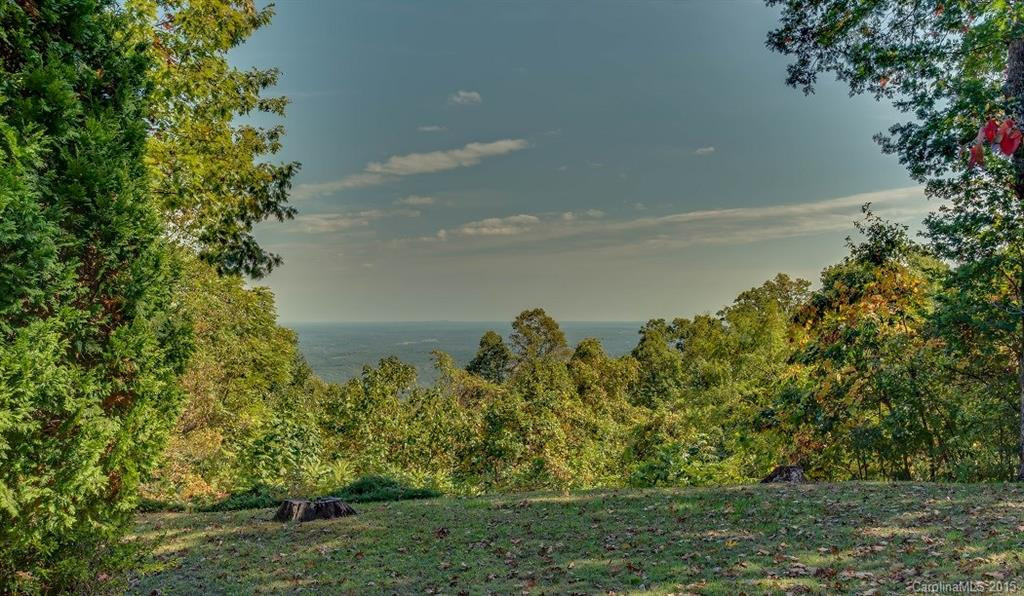 575 Melrose Mountain Road #618 - Photo 3
