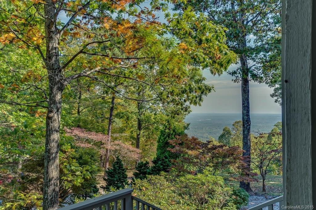 575 Melrose Mountain Road #618 - Photo 9