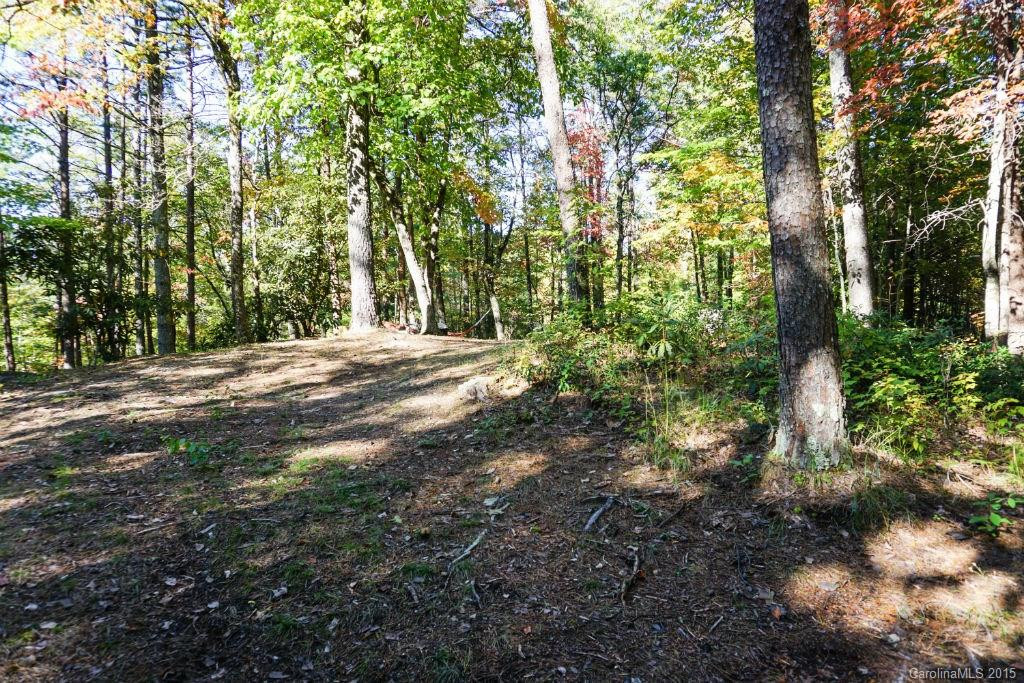 547 Round Mountain Road #39 - Photo 17