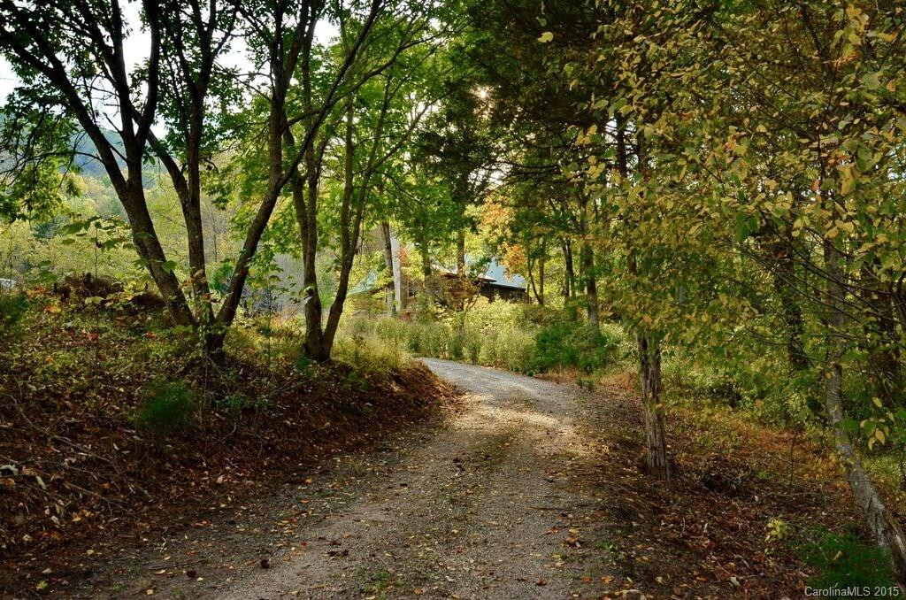 302 Peach Tree Road #302 - Photo 2