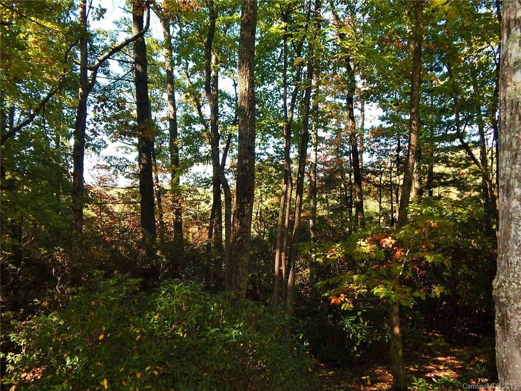 493 Tanasee Gap Road - Photo 21