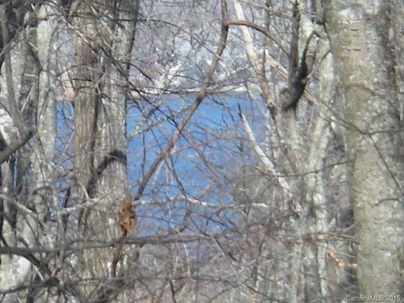 246 Gusty Trail - Photo 11