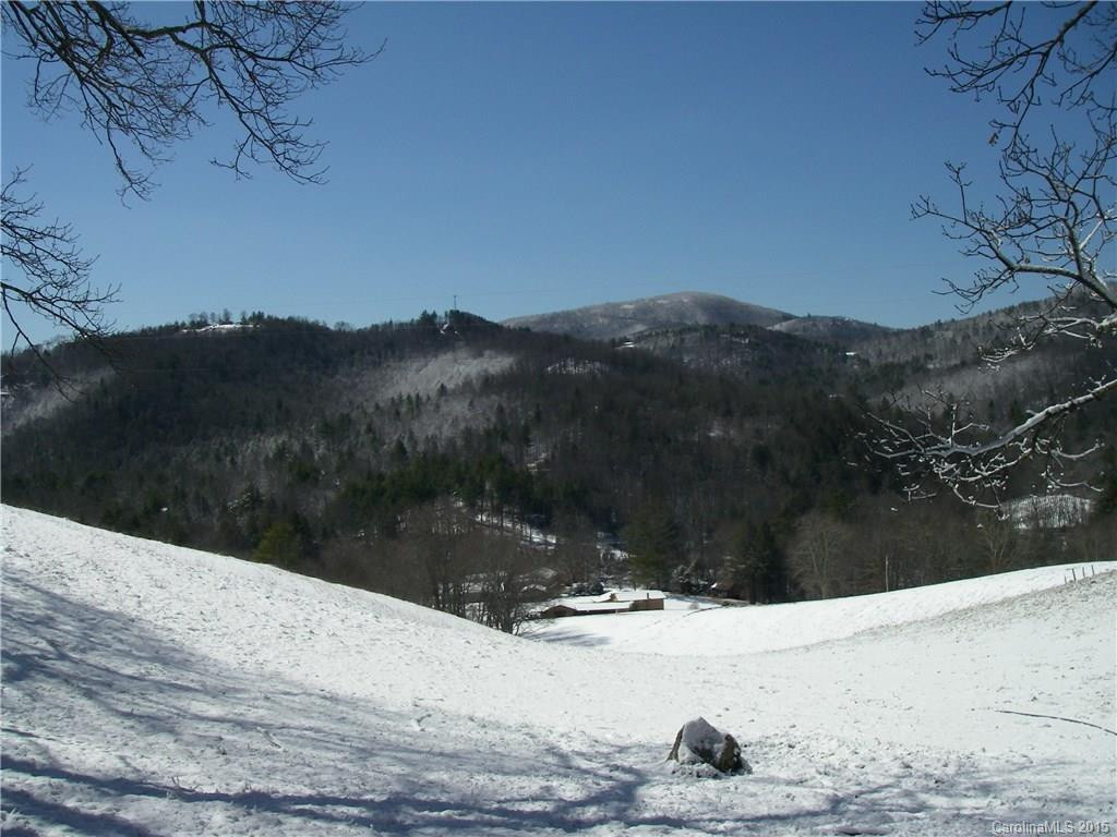 246 Gusty Trail - Photo 13