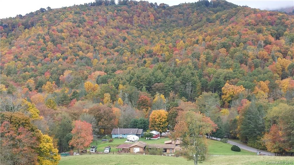 246 Gusty Trail - Photo 3