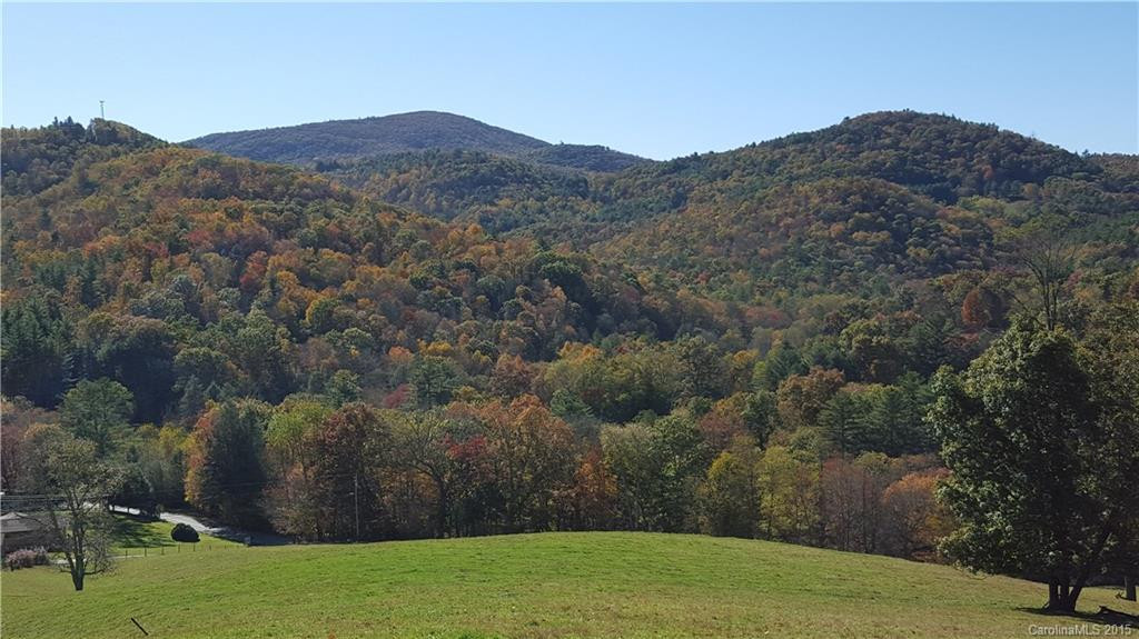 246 Gusty Trail - Photo 8