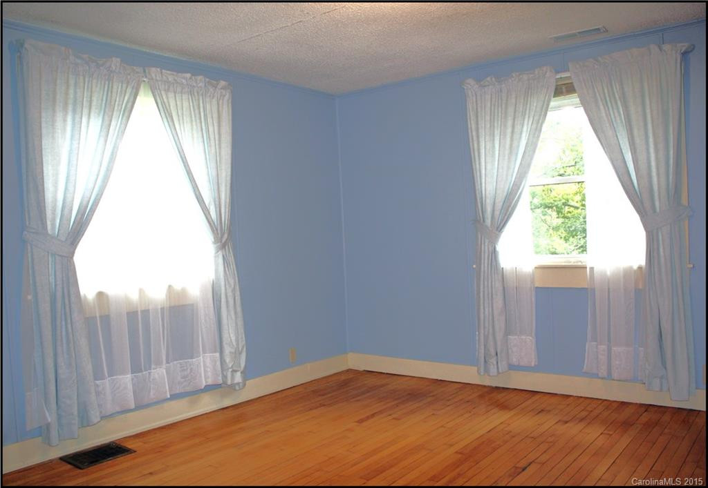 382 Lower Grassy Branc Road - Photo 13
