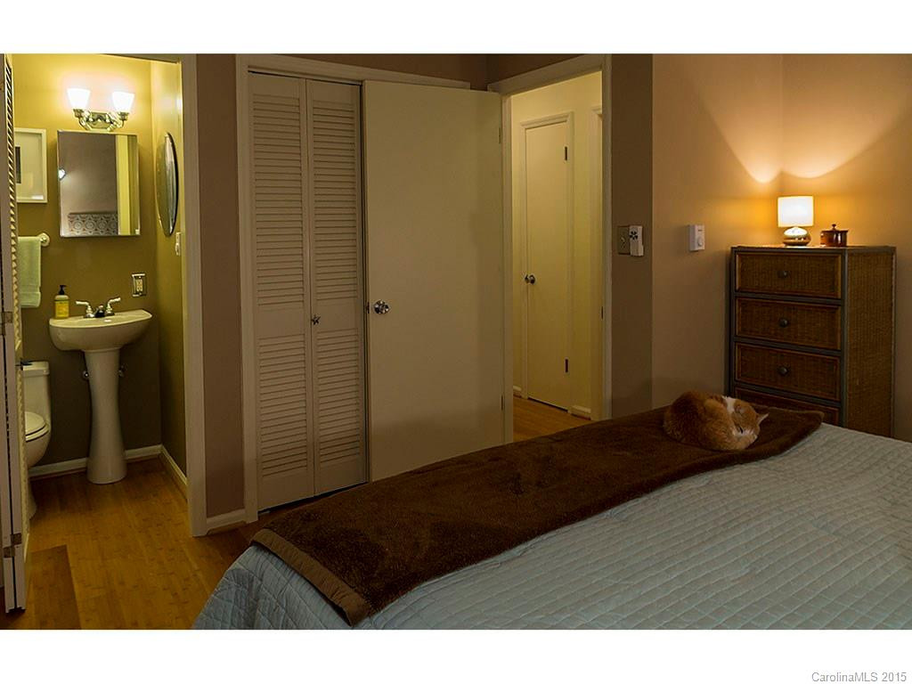 99 Spooks Branch Road - Photo 11