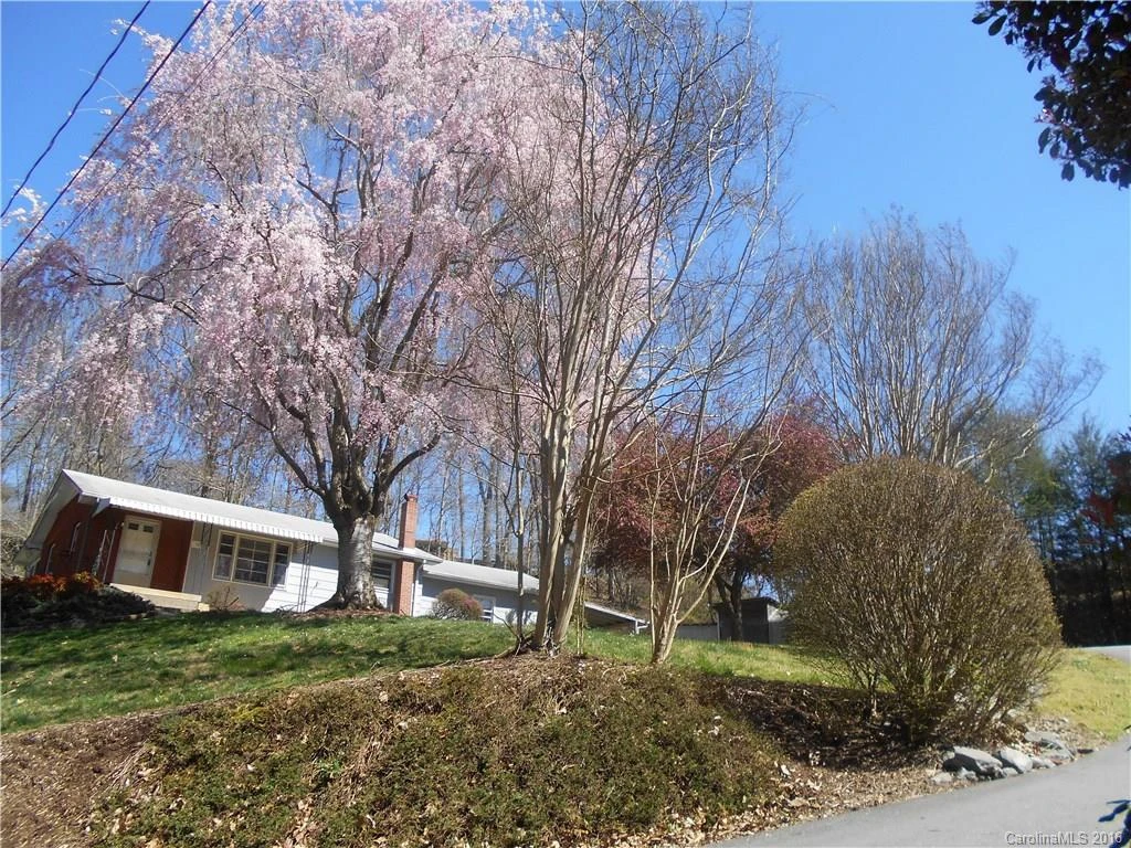18 Forsythia Lane