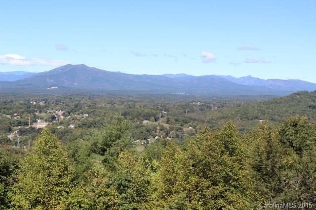 333 Pisgah View Drive - Photo 16