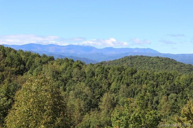 333 Pisgah View Drive - Photo 19