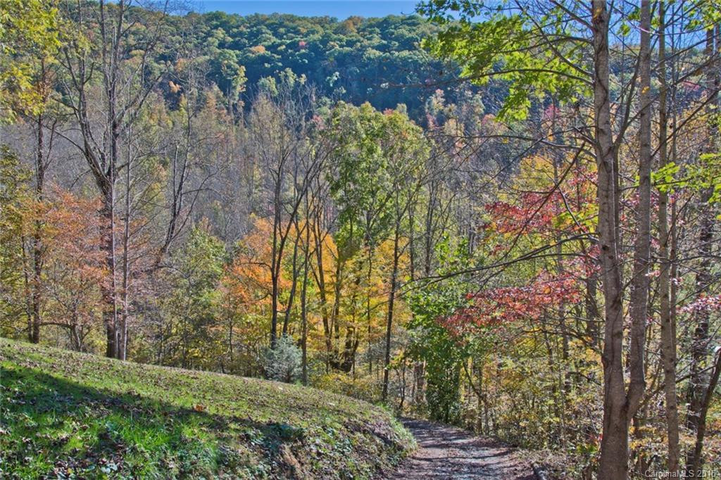 320 Martins Creek Road - Photo 8