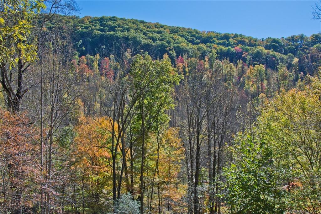 320 Martins Creek Road - Photo 9