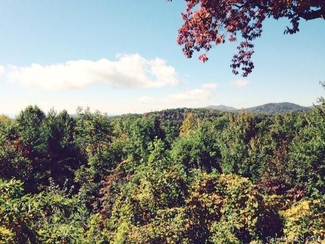 118 Rocky Mountain Road #13A - Photo 2