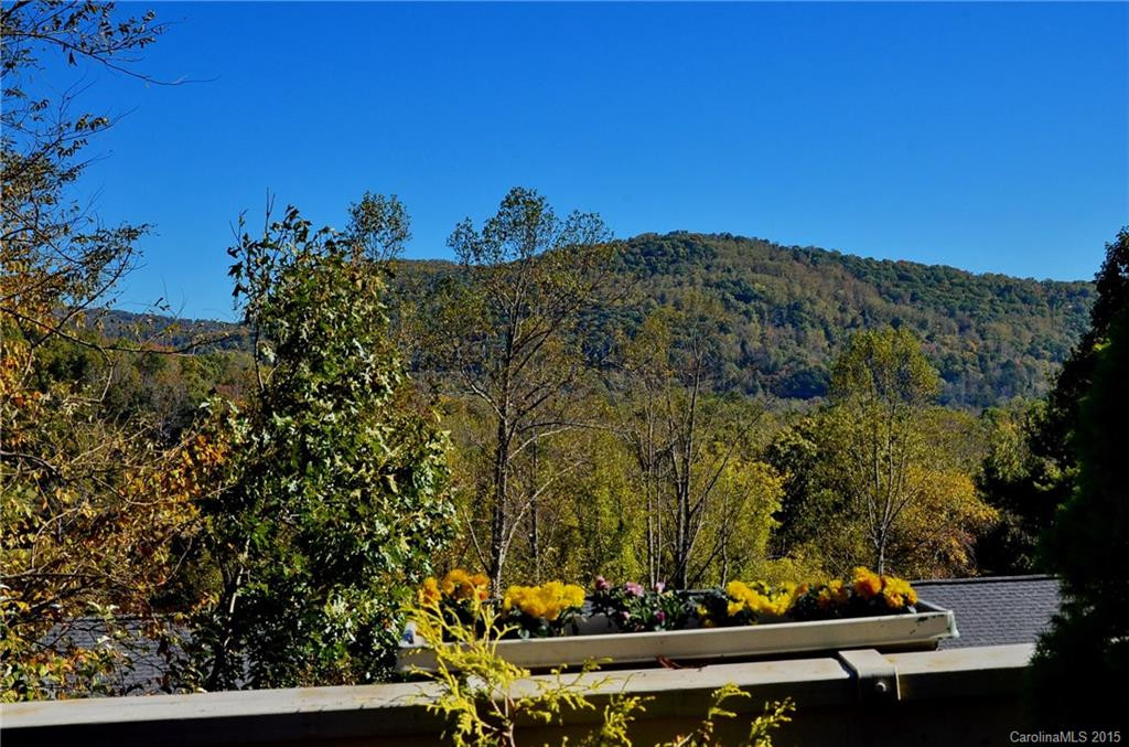 106 Dutchman Lane #106 - Photo 2