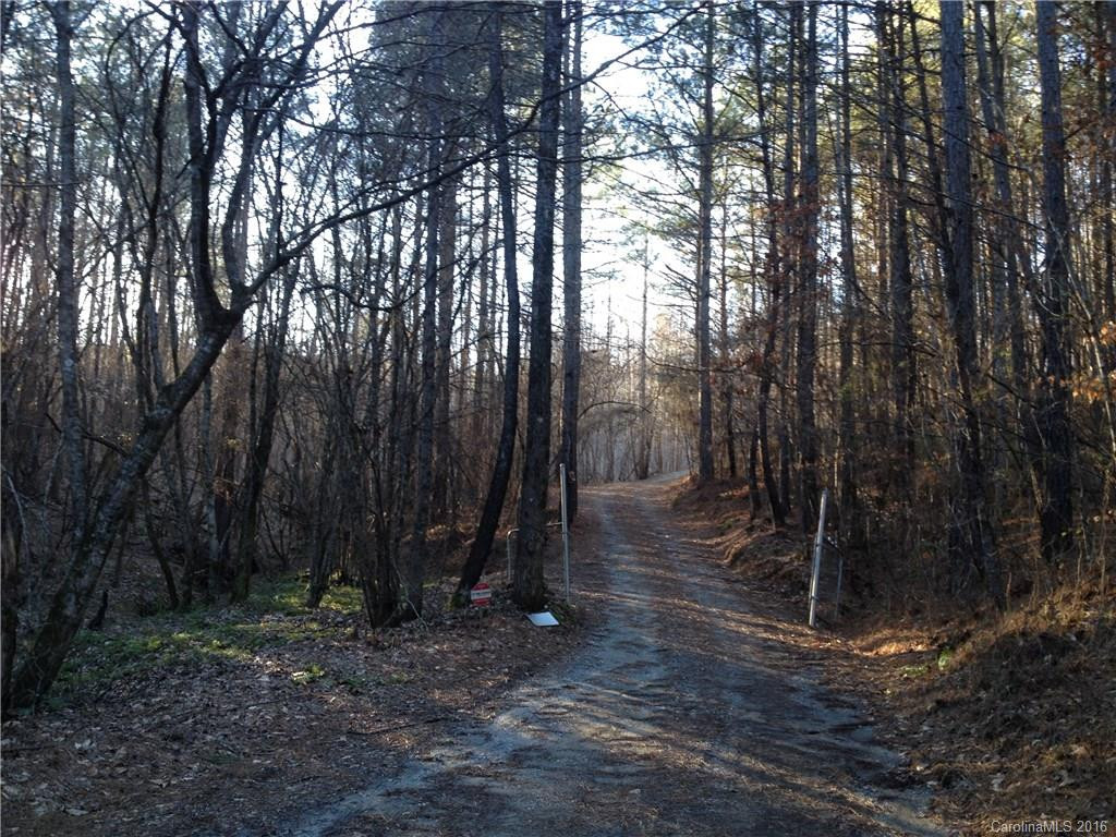 1407 Frog Creek Road - Photo 2