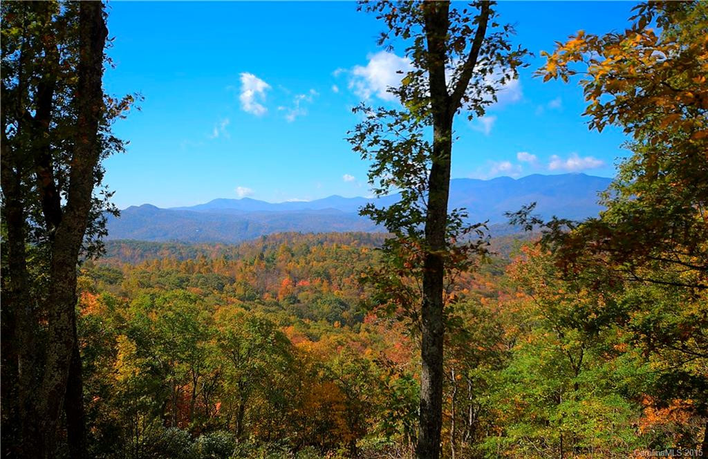 775 Fire Tower Road #7 - Photo 2