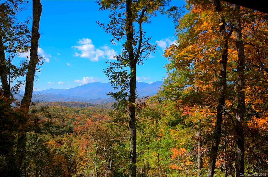 775 Fire Tower Road #7 - Photo 21