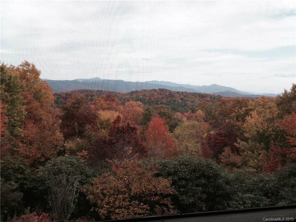 420 Toxaway Trail - Photo 16