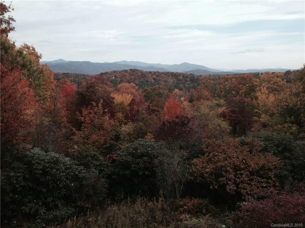 420 Toxaway Trail - Photo 17