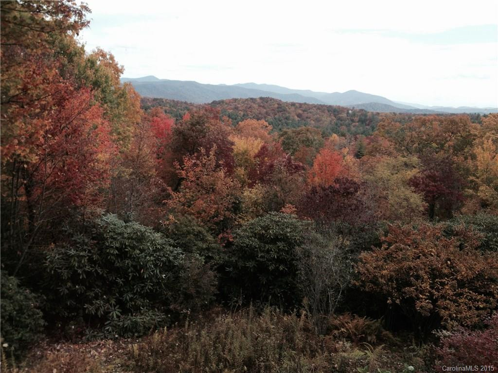 420 Toxaway Trail - Photo 18