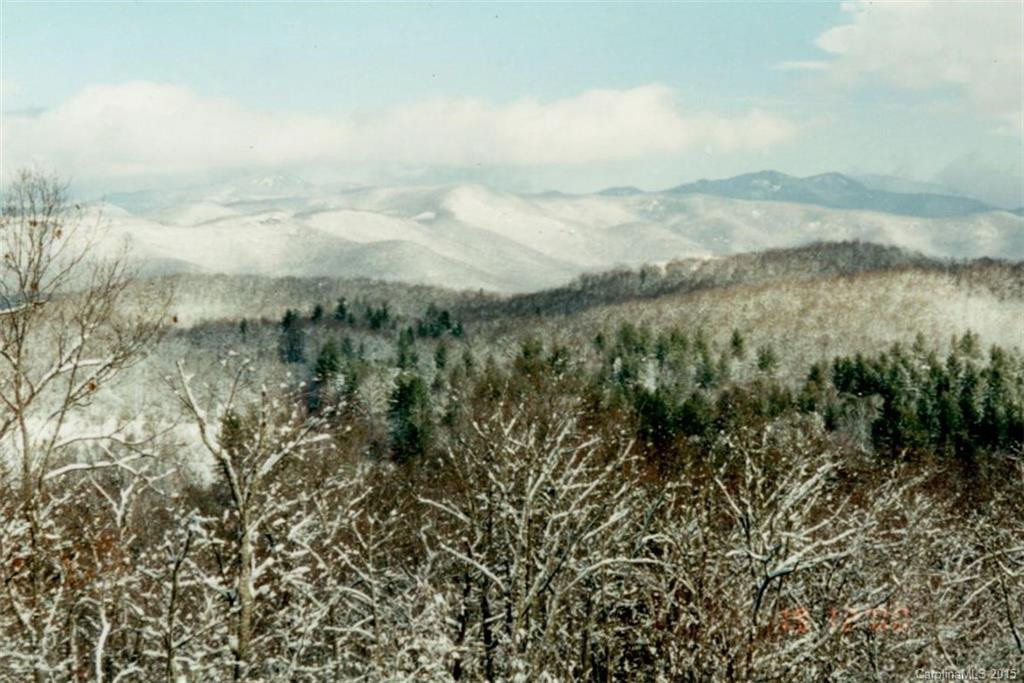 420 Toxaway Trail - Photo 19