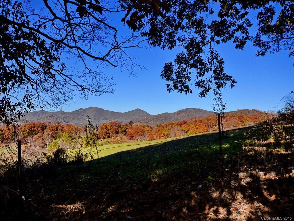 298 Timber Hill Drive - Photo 23