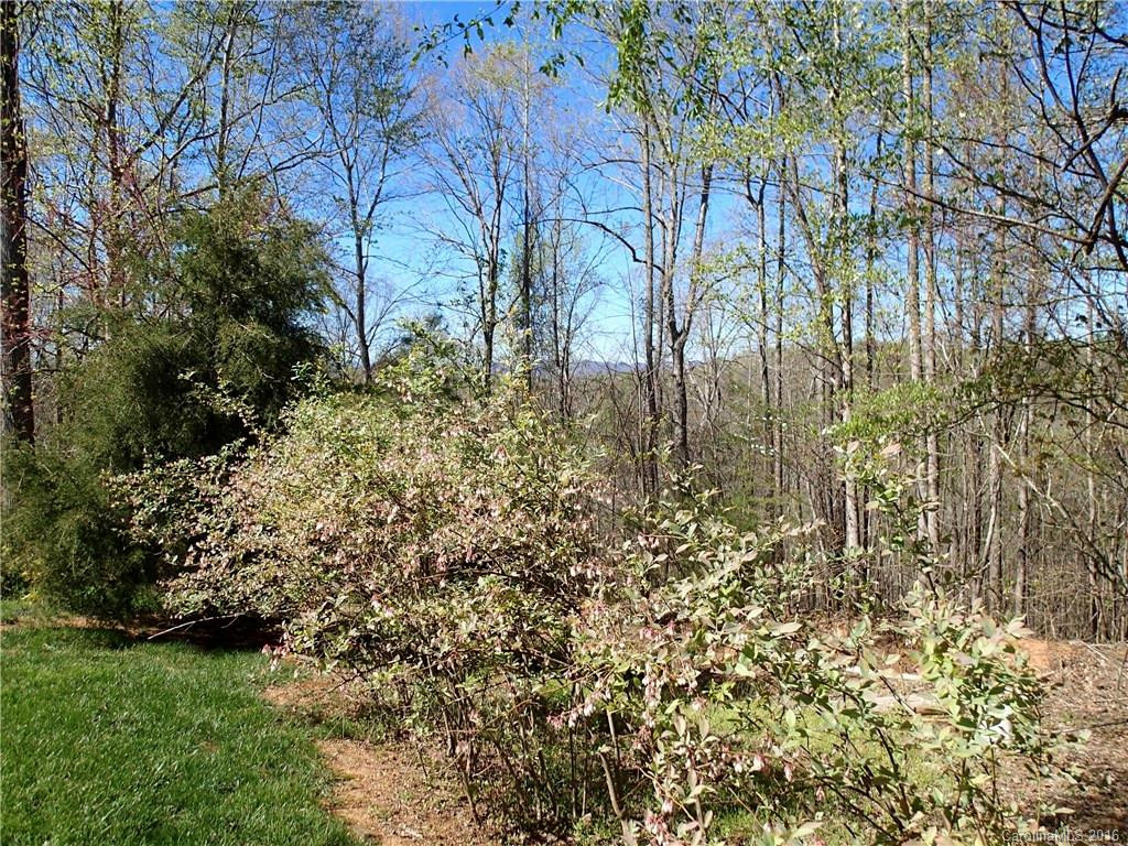173 Sassafras Hill Drive - Photo 18