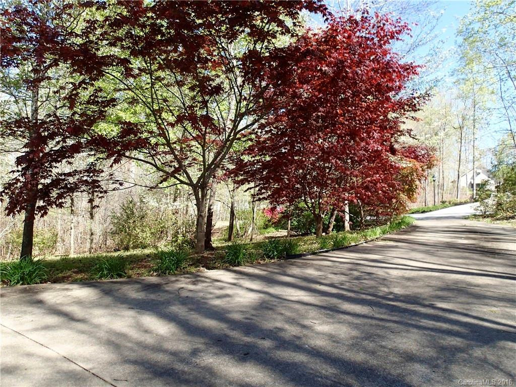 173 Sassafras Hill Drive - Photo 22