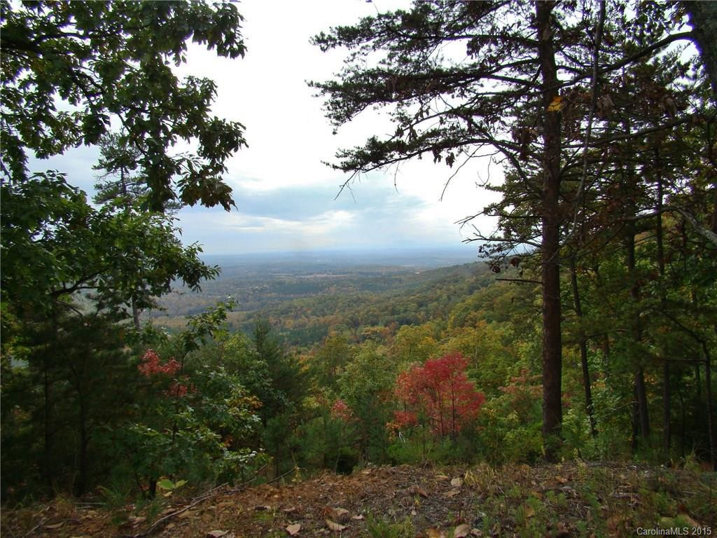 647 Arbra Mountain Way - Photo 2