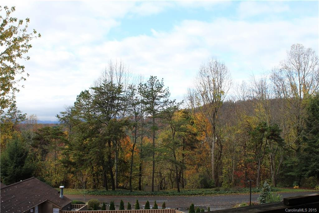 305 Piney Mountain Drive #F-1 - Photo 2